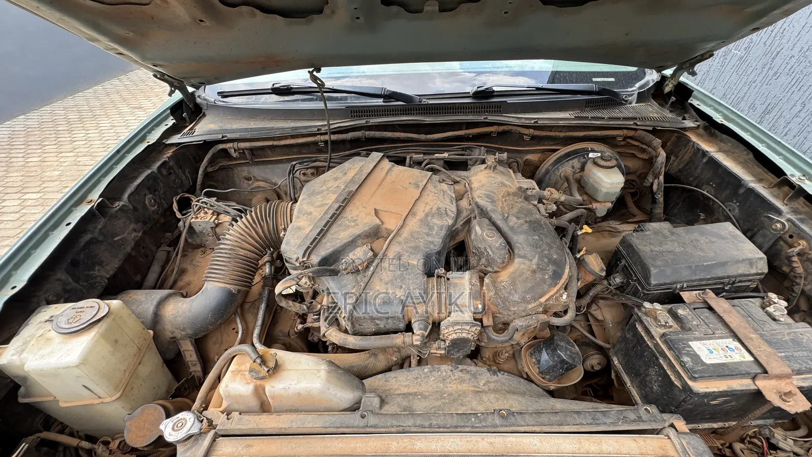 Toyota Tacoma 2006 Green