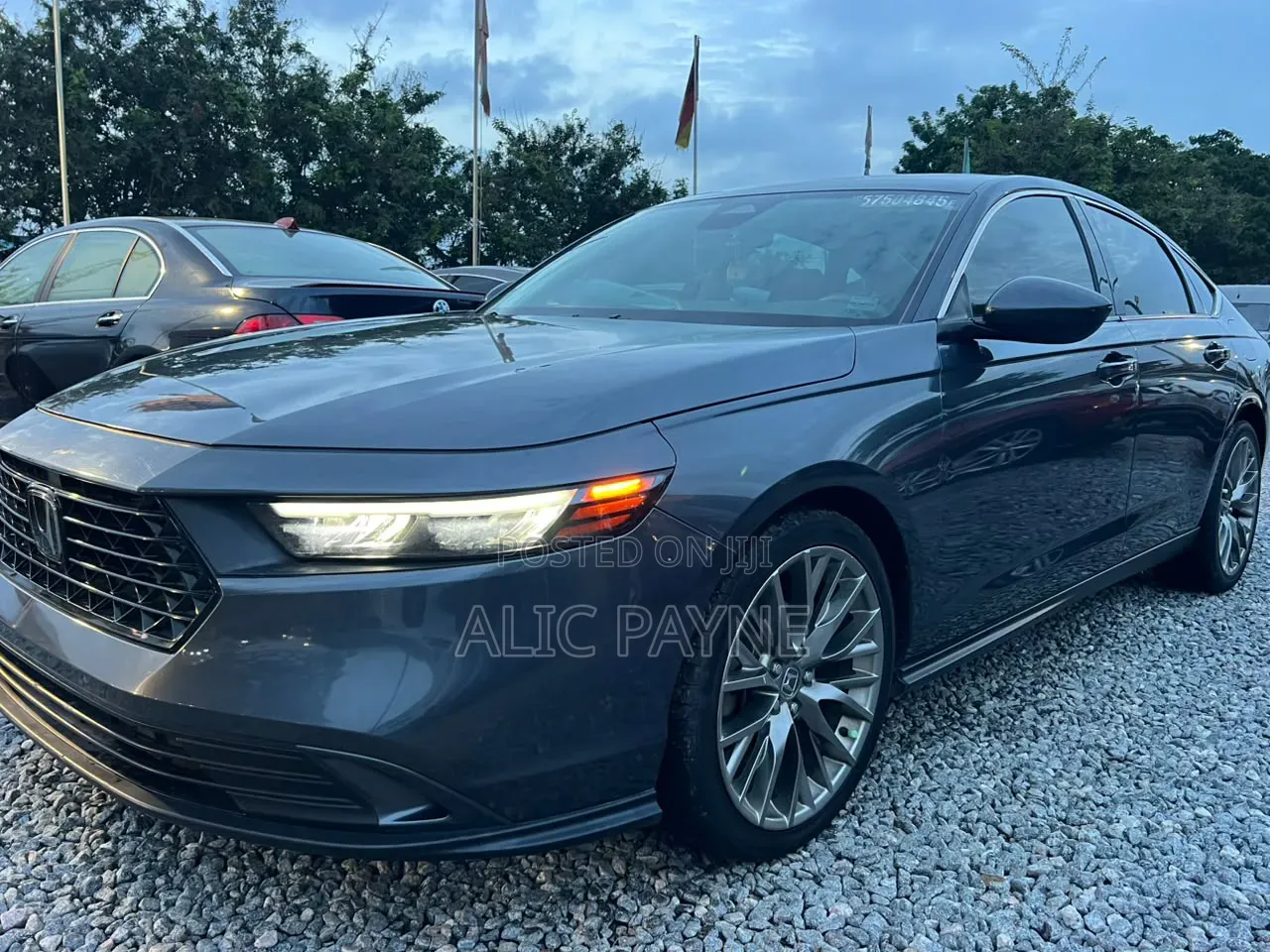 Honda Accord 2024 Gray