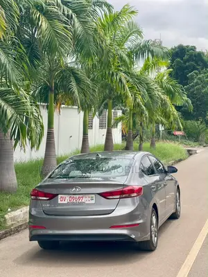Hyundai Elantra 2017 Gray