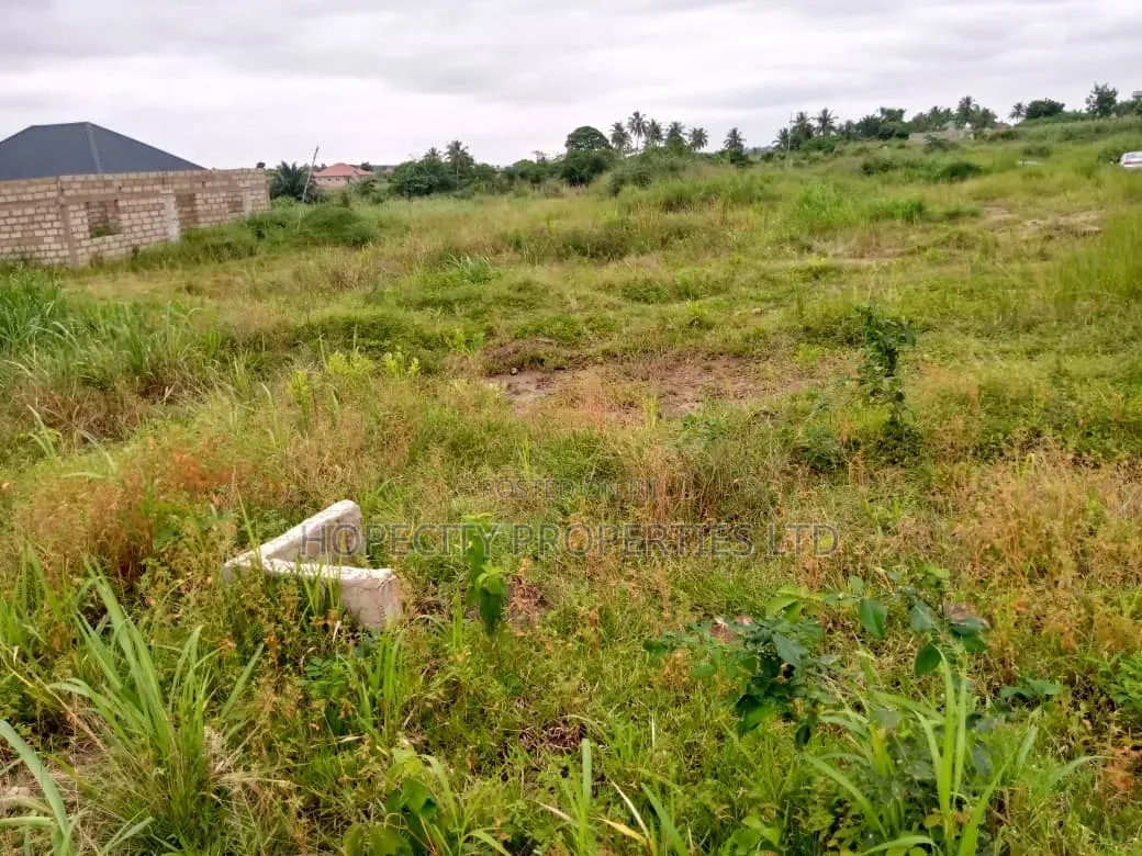 Plots of Land at Danchira for Sale