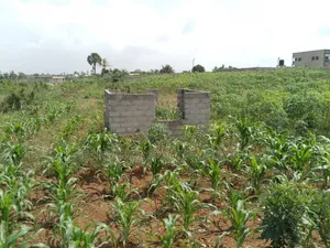 Commercial Lands for Sale at Amasaman-Danchira