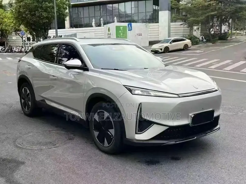 Dongfeng Rich 7 2024 Gray