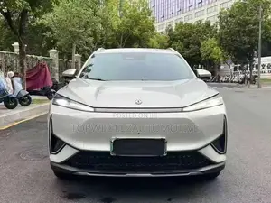 Dongfeng Rich 7 2024 Gray