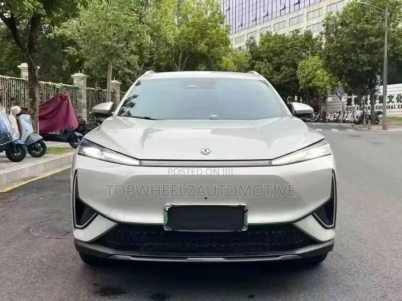 Dongfeng Rich 7 2024 Gray