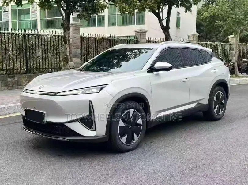 Dongfeng Rich 7 2024 Gray