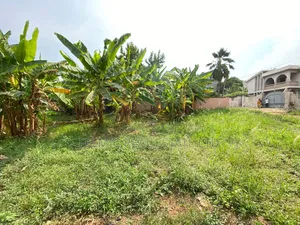 100x80ft Plot of Land at Ofankor 7 Days Near Icgc for Sale