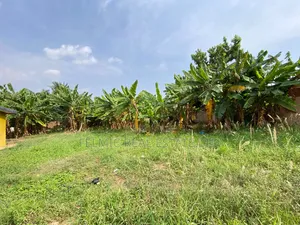 100x80ft Plot of Land at Ofankor 7 Days Near Icgc for Sale