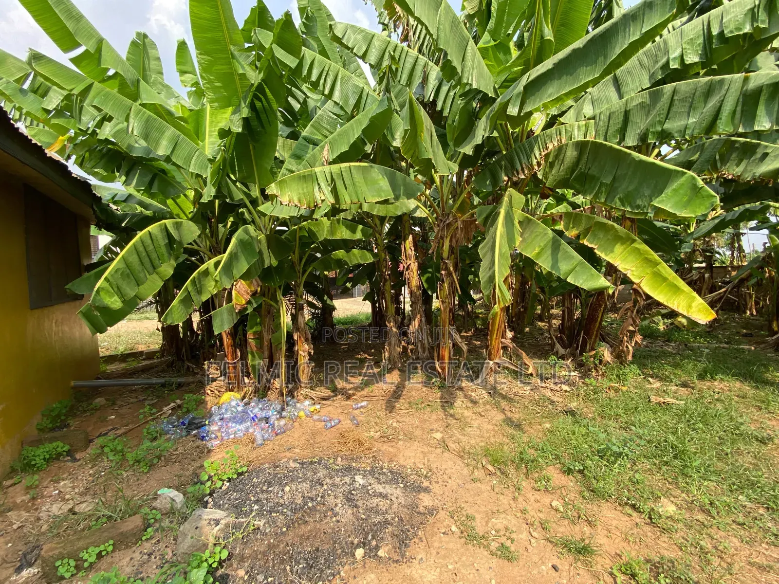 100x80ft Plot of Land at Ofankor 7 Days Near Icgc for Sale