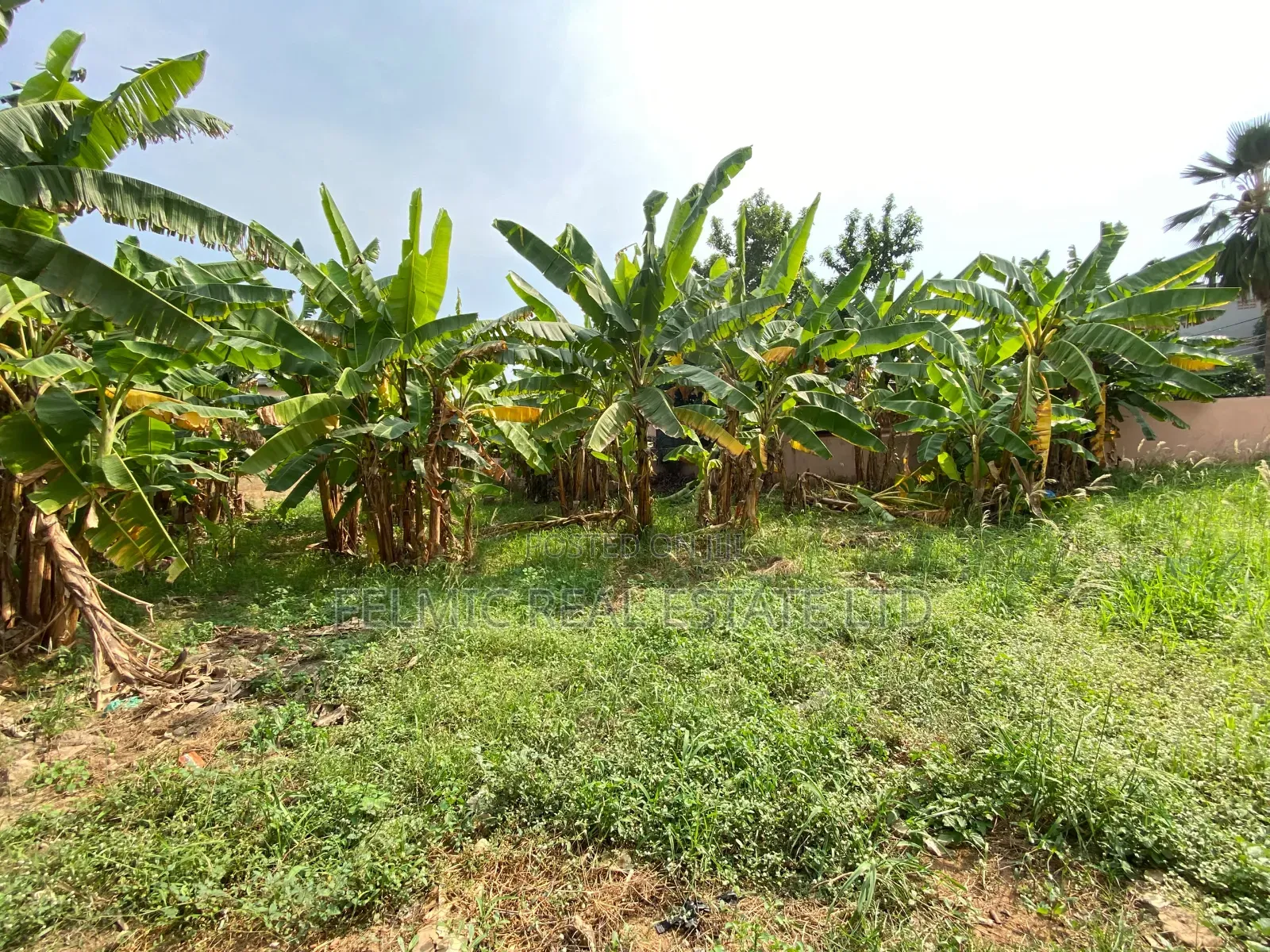 100x80ft Plot of Land at Ofankor 7 Days Near Icgc for Sale