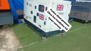 Perkins Generator Powerful Electricity When You Need It Most