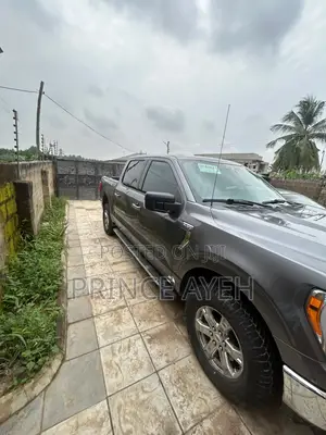 Ford F-150 XLT 2021 Gray