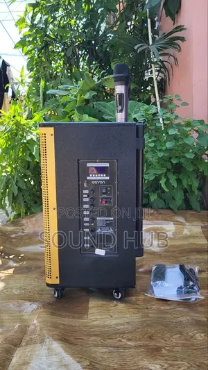 Professional 12'' Trolley Speaker With 2 Microphones