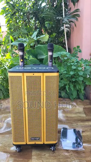 Professional 12'' Trolley Speaker With 2 Microphones