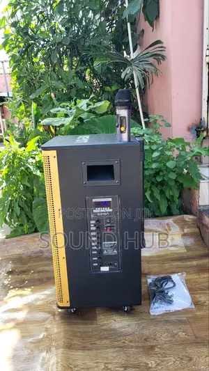 Professional 15'' Trolley Speaker With 2 Microphones