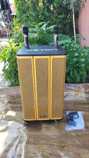Professional 15'' Trolley Speaker With 2 Microphones