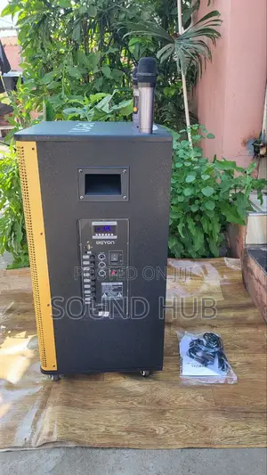 Professional 18'' Trolley Speaker With 2Microphones