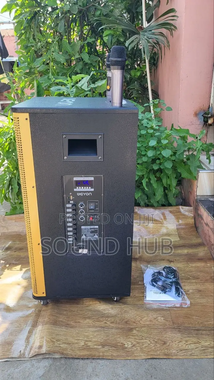 Professional 18'' Trolley Speaker With 2Microphones