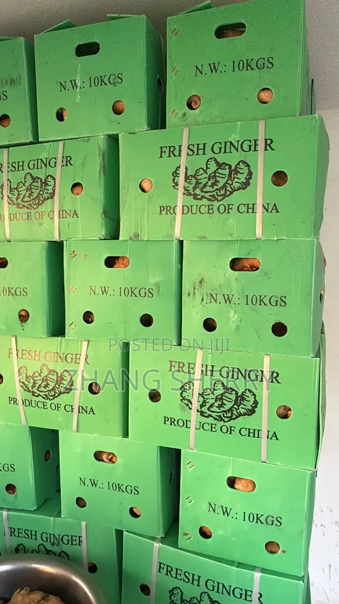 Fresh Washed Chinese Ginger Wholesale Bulk Supply