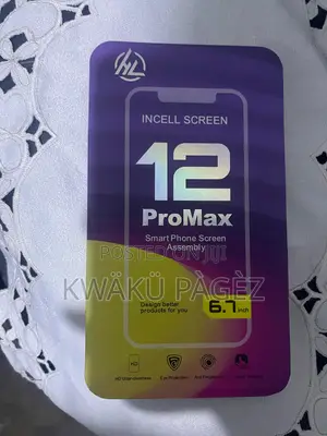 iPhone 12 Pro Max Screen
