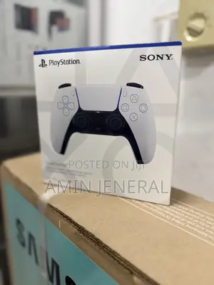 Play Station Dual Sense Controller