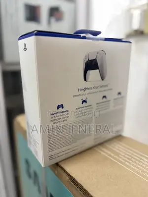 Play Station Dual Sense Controller