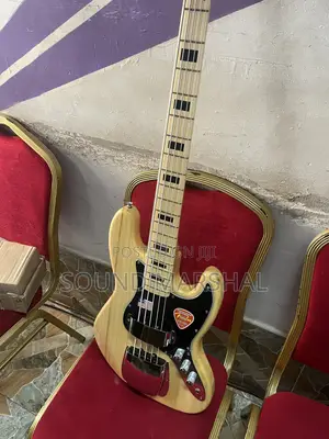 Fender Stratocaster Electric Guitar