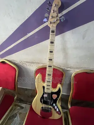 Fender Stratocaster Electric Guitar