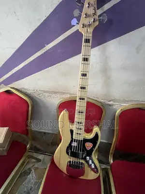 Fender Stratocaster Electric Guitar