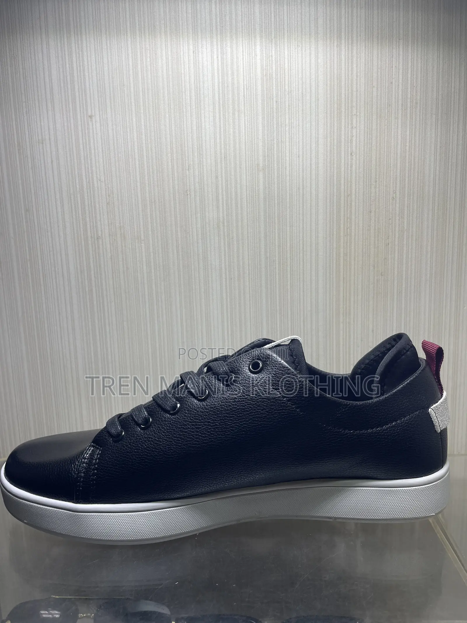 Lacoste Black/White Shoe