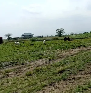 1 Plot of Land for Sale