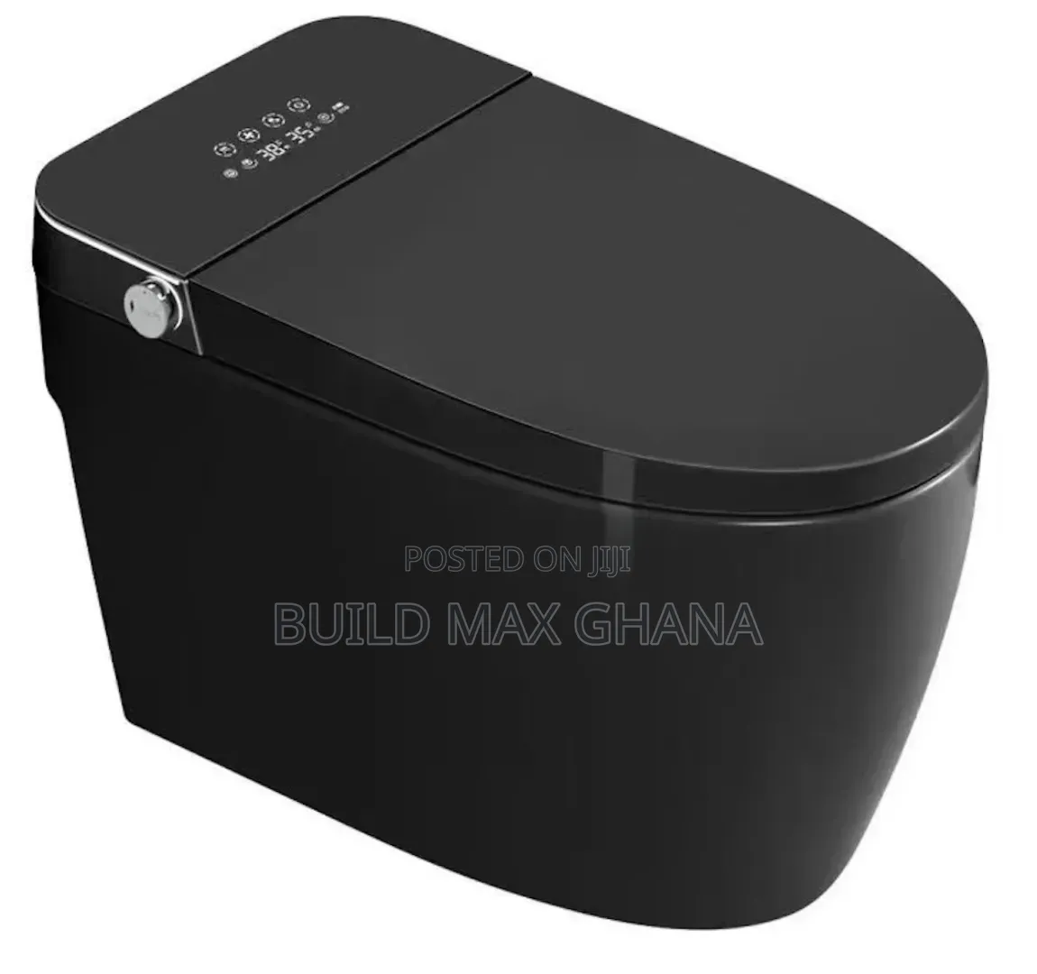 Electric Intelligent WC