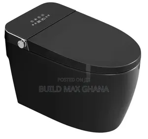 Electric Intelligent WC