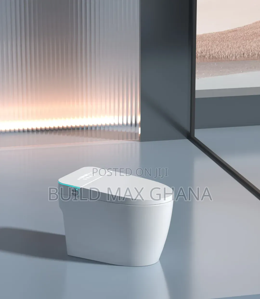 Electric Intelligent WC
