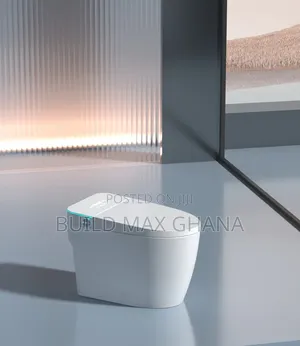 Electric Intelligent WC