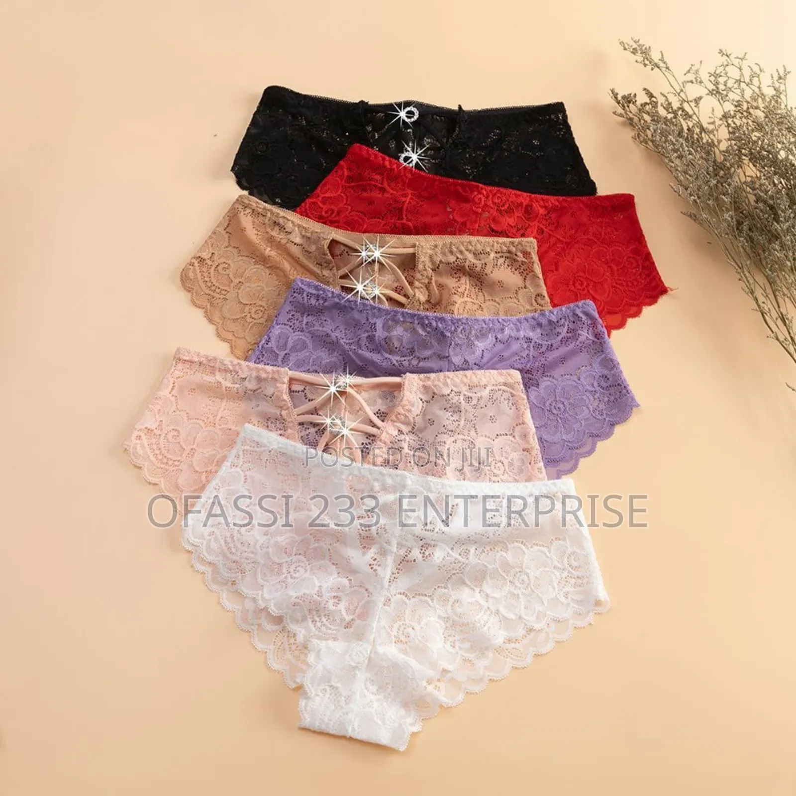 2 Pieces of French Style Sexy Panties