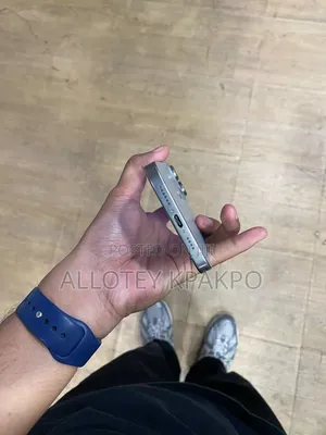 Apple iPhone 15 Pro Max 256 GB Silver