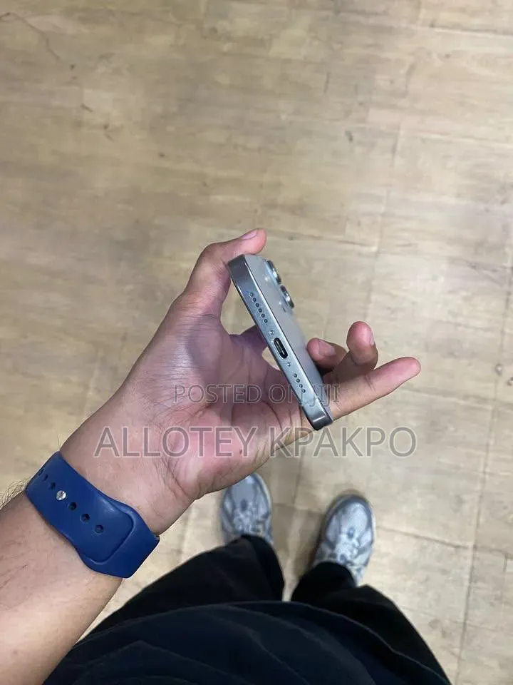 Apple iPhone 15 Pro Max 256 GB Silver