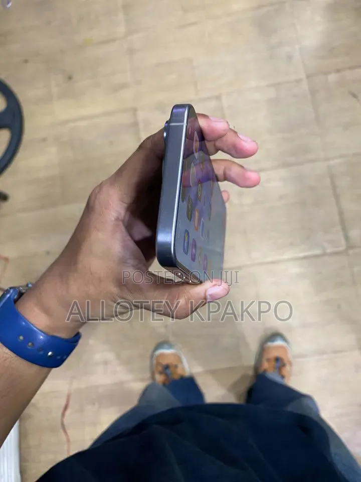 Apple iPhone 15 Pro Max 256 GB Silver