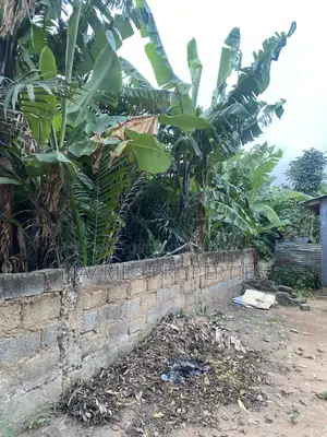 1 N Half Plot at Oyarifa Special , 