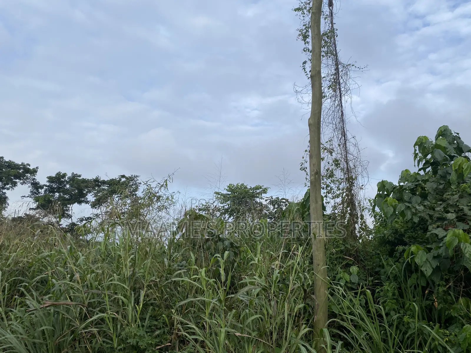 1 N Half Plot at Oyarifa Special , 