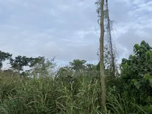 1 N Half Plot at Oyarifa Special , 