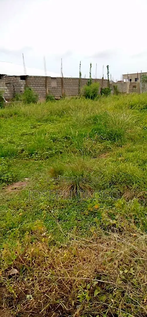 One Full Plot of Land for Sale