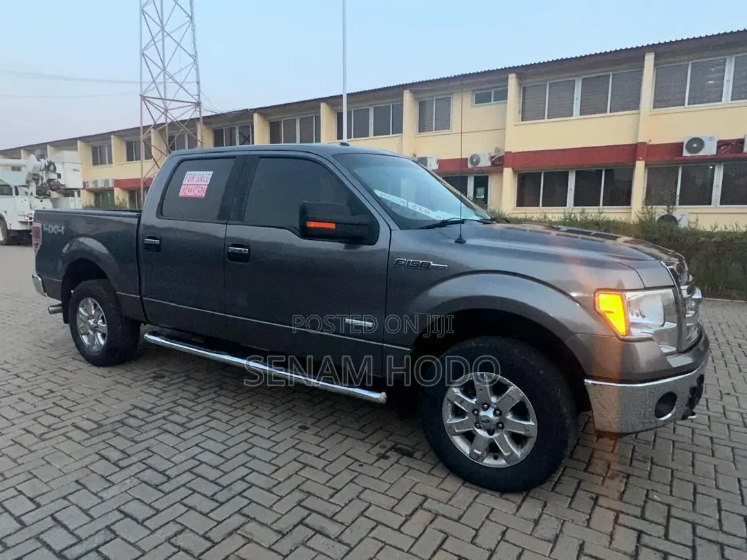 Ford F-150 2013 Gray