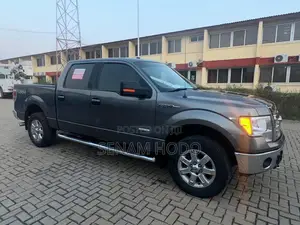 Ford F-150 2013 Gray