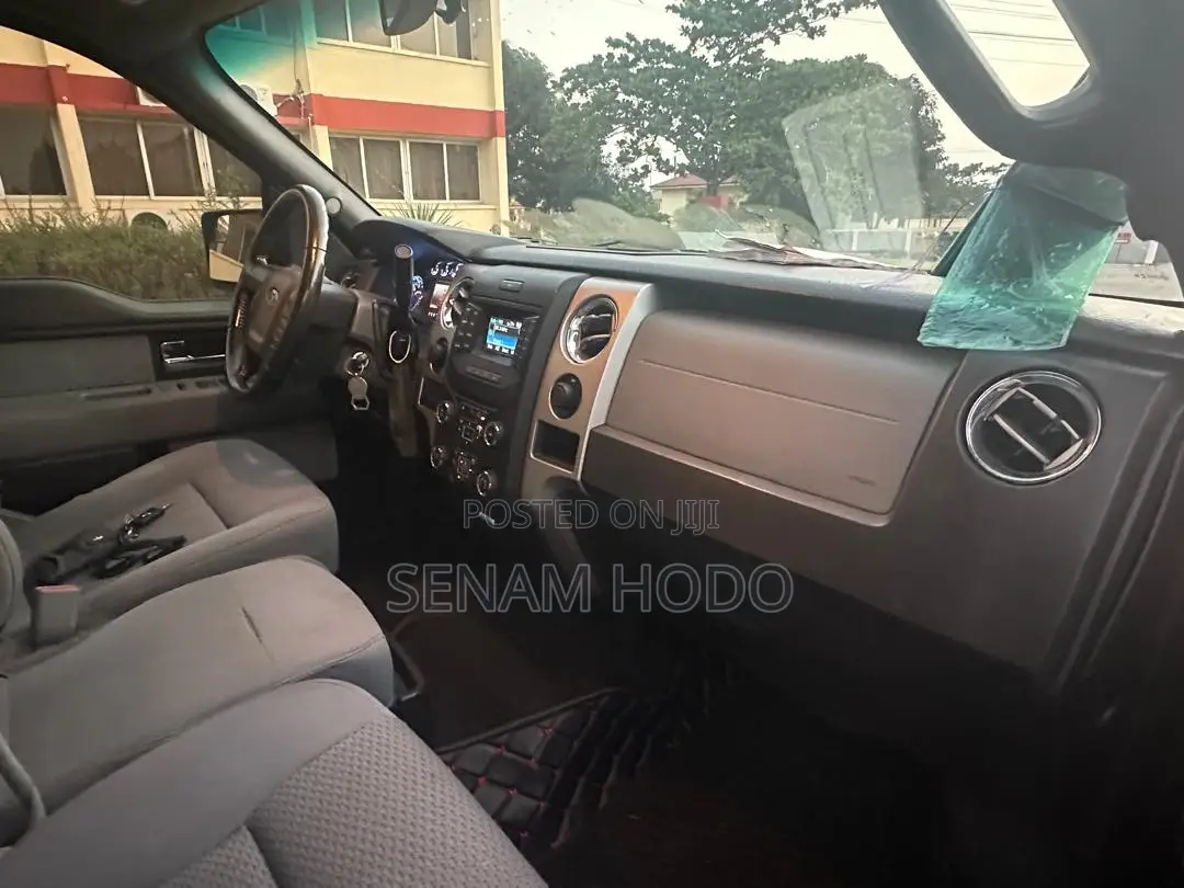 Ford F-150 2013 Gray