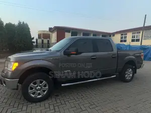 Ford F-150 2013 Gray