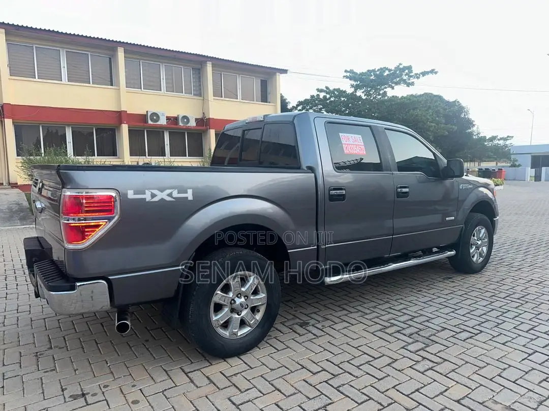 Ford F-150 2013 Gray