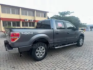 Ford F-150 2013 Gray