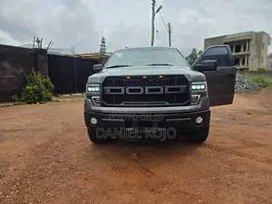Ford F-150 2014 Silver