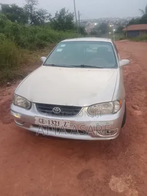 Toyota Corolla 2002 Gray